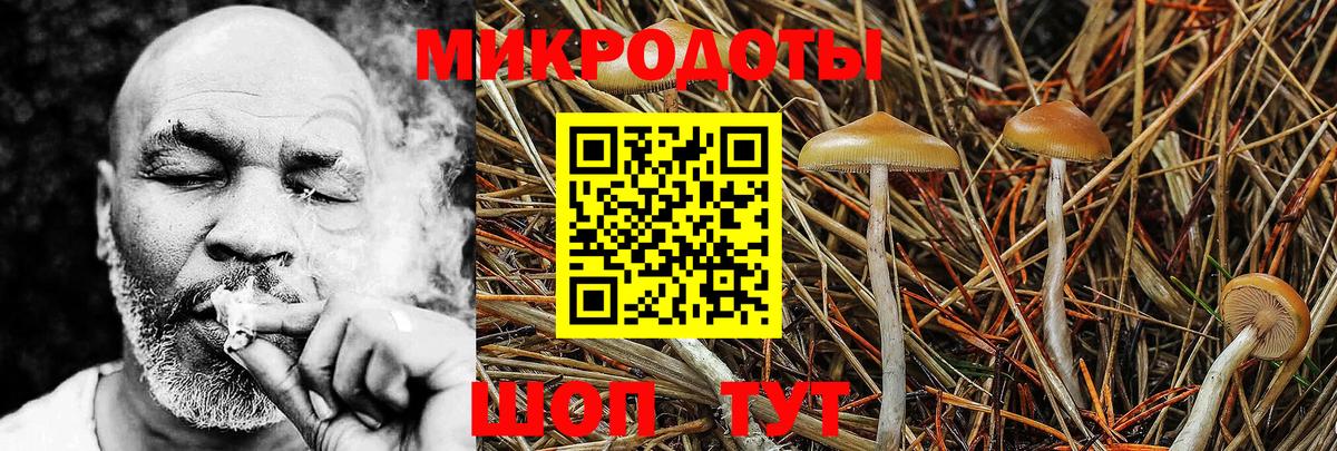 Ачинск  Псилоцибиновые грибы Psilocybine cubensis  Псилоцибиновые грибы прущие грибы  наркотики  Вход с VPN 